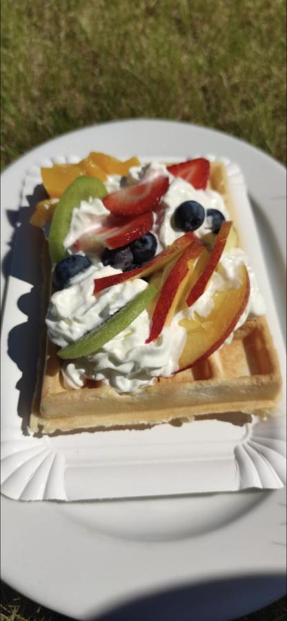 ムジェジノ Grot Bed & Breakfast エクステリア 写真